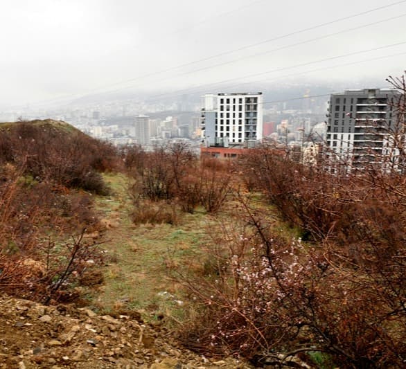 დიდი ოდენობით სხვისი ქონების მოტყუებით დაუფლების ფაქტზე სამი პირი დააკავეს