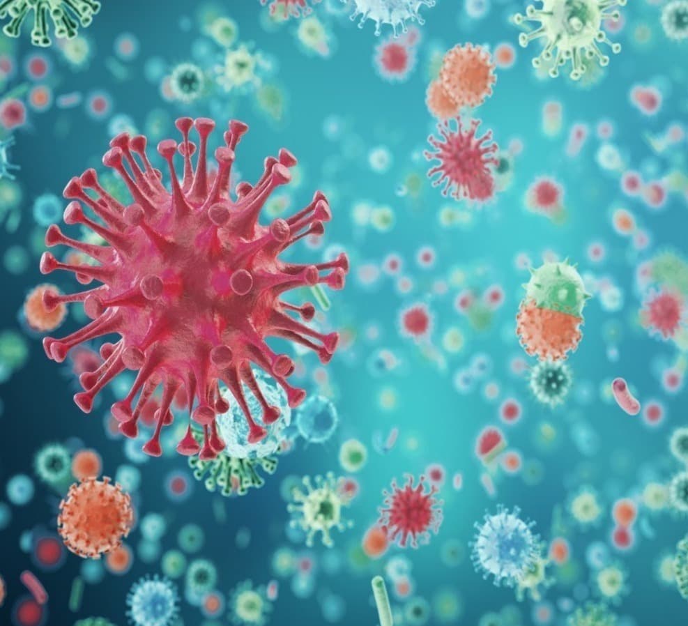 Out of 332 new cases of coronavirus, 185 were detected in Tbilisi