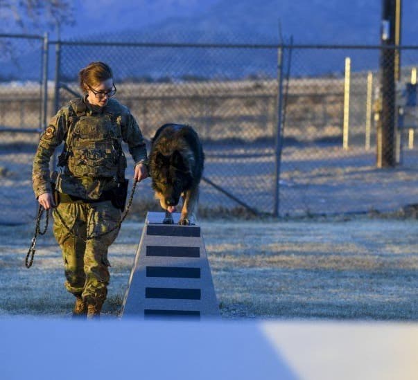 Pentagon rebukes Fox host Tucker Carlson for mocking female troops