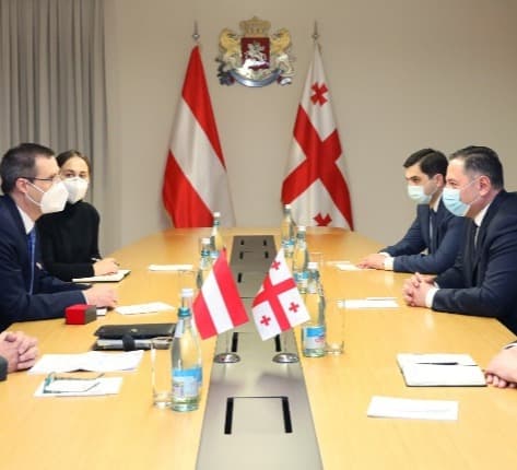 შინაგან საქმეთა მინისტრი ავსტრიის ელჩს შეხვდა