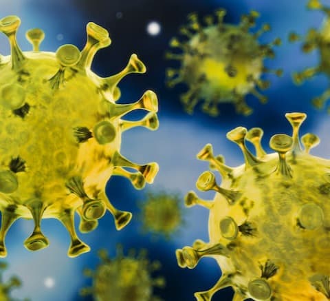 ბოლო 24 საათში საქართველოში კორონავირუსით 2 ადამიანი გარდაიცვალა