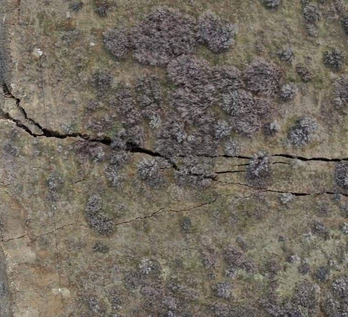 “მეწყერული პროცესები პროვოცირებულია არასწორად დაგეგმილი სამშენებლო სამუშაოებით”