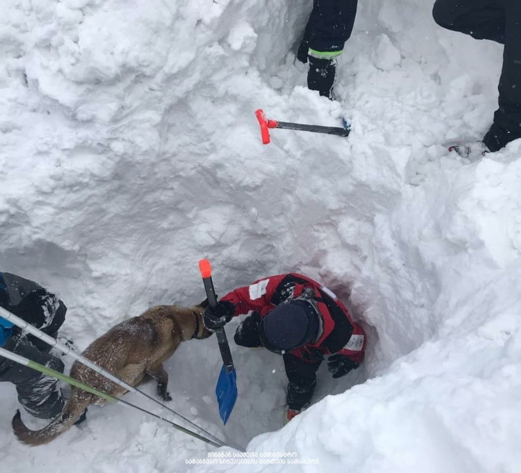 მაშველებმა გუდაურის მიმდებარედ თოვლიდან მოქალაქის ცხედარი ამოიყვანეს