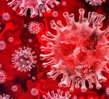 Out of 422 new cases of coronavirus, 216 were detected in Tbilisi