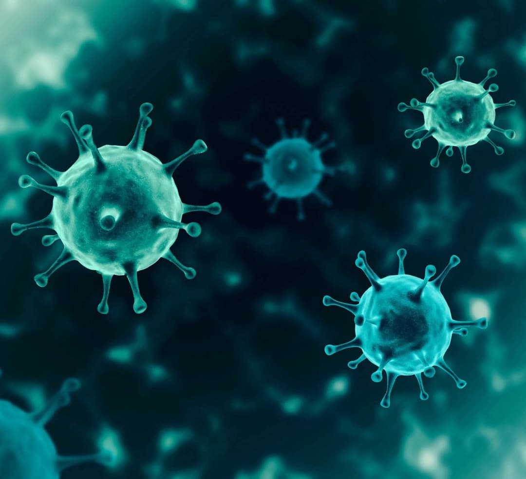 საქართველოში კორონავირუსის 262 ახალი შემთხვევა გამოვლინდა, გამოჯანმრთელდა 189 პირი