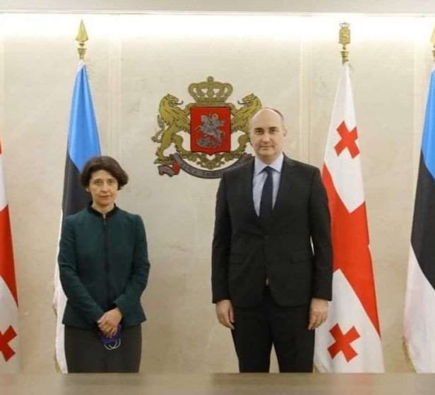 თავდაცვის მინისტრი ესტონეთის ელჩს შეხვდა