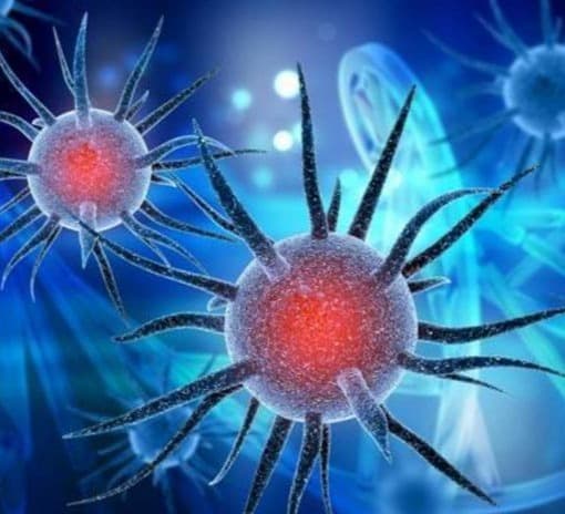 საქართველოში კორონავირუსის ახალი შტამის 50-მდე შემთხვევაა დადასტურებული