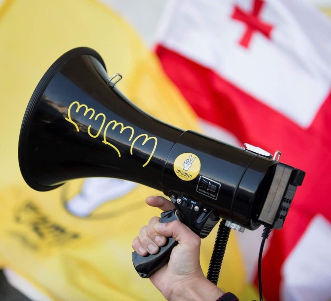 “კატეგორიულად მოვითხოვთ, პარლამენტმა და მმართველმა პარტიამ დაატოვებინოს გია ვოლსკის ვიცე-სპიკერის თანამდებობა”