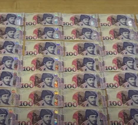 დიდი ოდენობით თანხების თაღლითურად დაუფლებისა და უკანონო შემოსავლის ლეგალიზაციის ფაქტზე 11 პირი დააკავეს