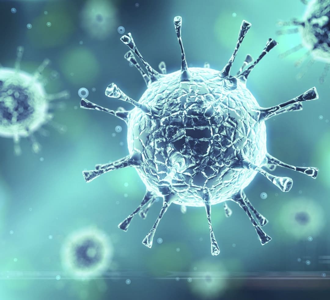 “ქართული ოცნების” ორ დეპუტატს კორონავირუსი დაუდასტურდა