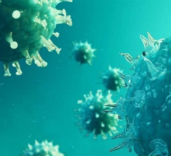 24 საათში საქართველოში კორონავირუსით 6 ადამიანი გარდაიცვალა