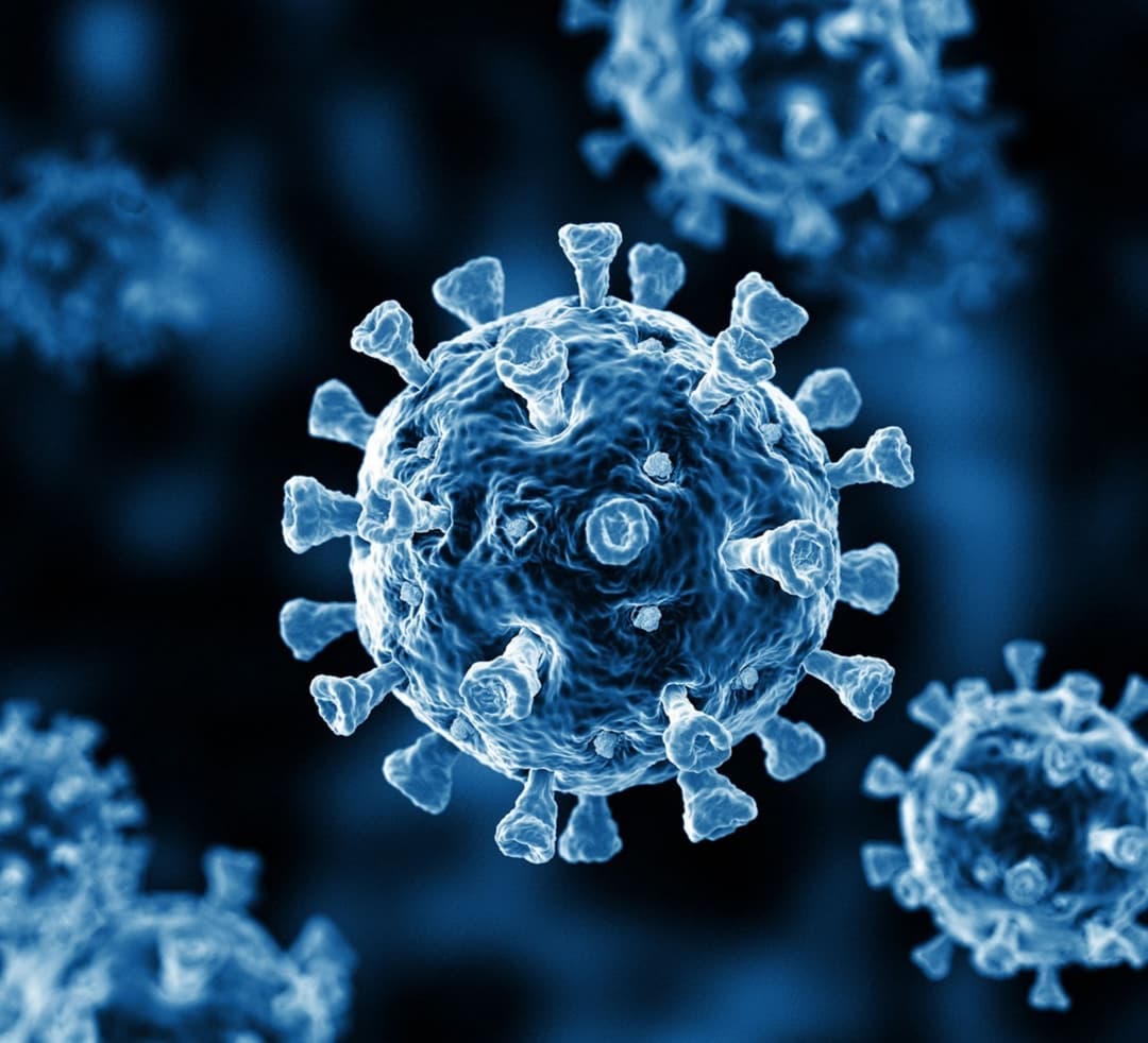 ბოლო 24 საათში საქართველოში კორონავირუსით 11 ადამიანი გარდაიცვალა