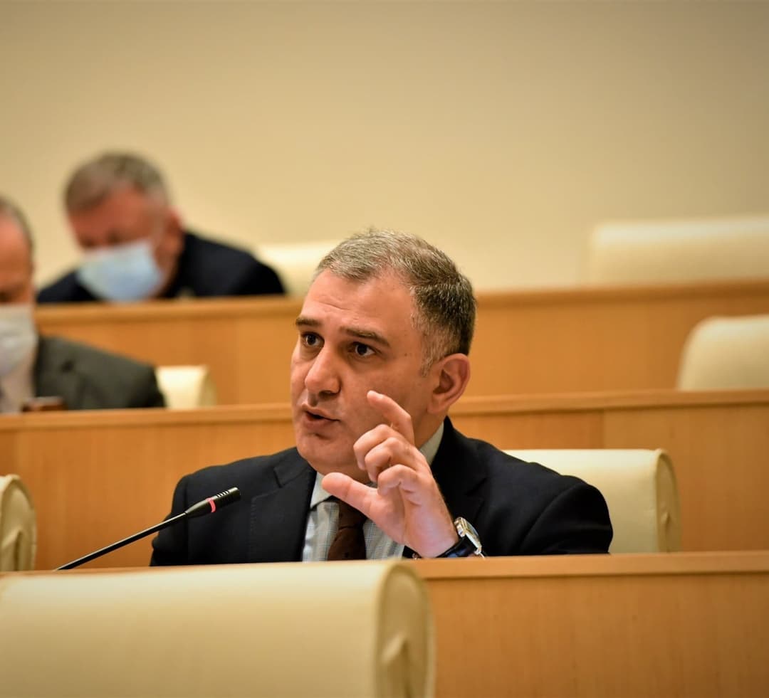 “გახარიას გუნდის წევრი მაჟორიტარები უნდა მიხვდნენ, რომ მათი დეპუტატობა დიდწილად განპირობებული იყო “ქართული ოცნების“ მხარდაჭერით”