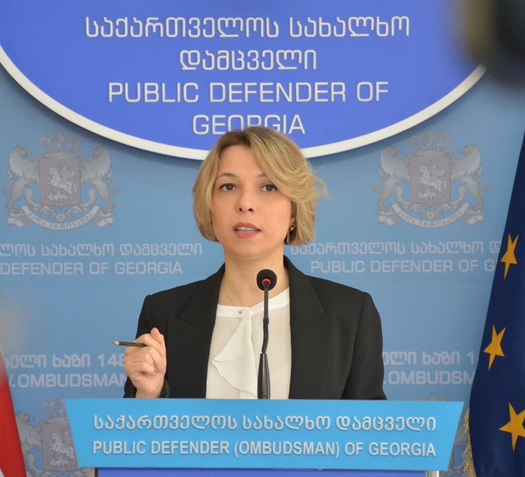 სახალხო დამცველი ნიკა მელიას ხვდება