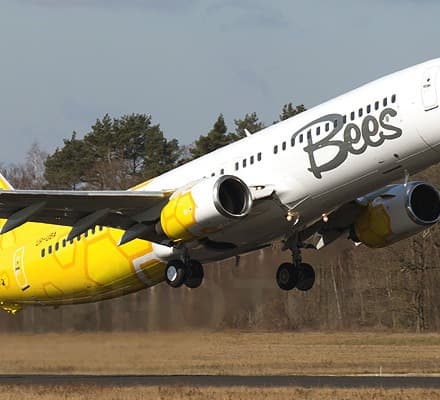 საქართველოს საავიაციო ბაზარზე ოპერირებას ახალი უკრაინული ავიაკომპანია Bees Airline გეგმავს