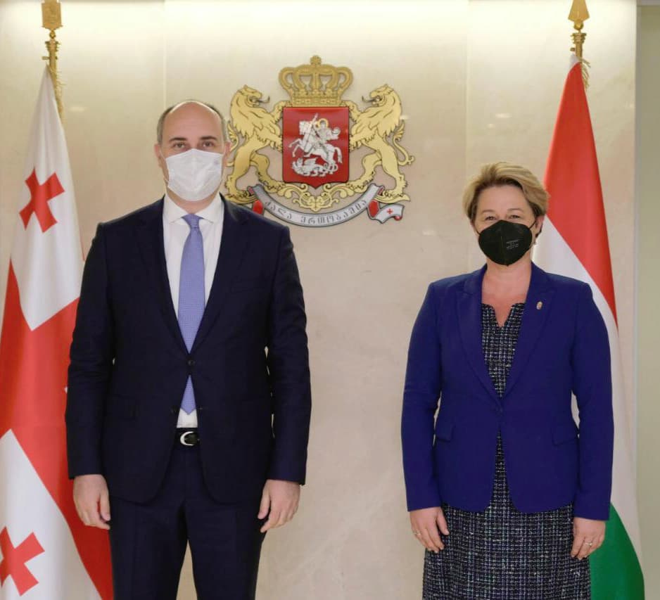 თავდაცვის მინისტრი უნგრეთის ელჩს შეხვდა