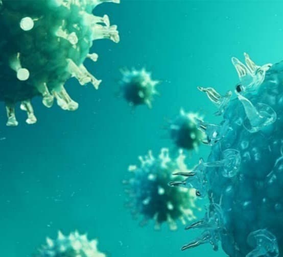 11 people died of coronavirus in Georgia in 24 hours