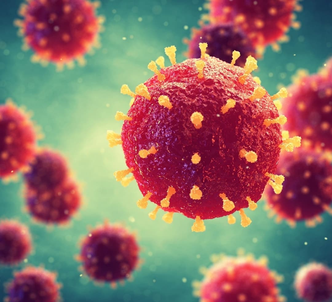 Out of 521 new cases of coronavirus, 285 were detected in Tbilisi