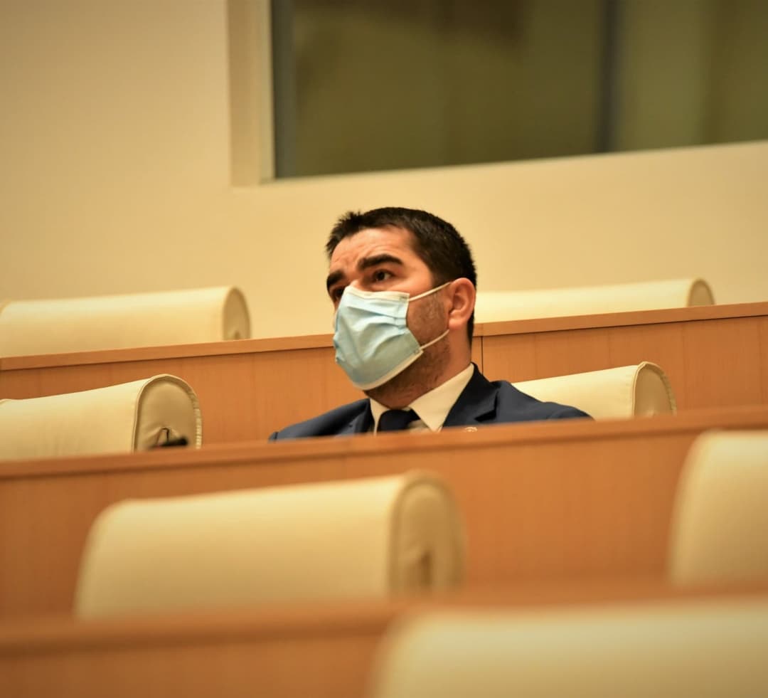 “ამ ამნისტიის მიზანია არა ნიკა მელიას გამოყვანა ციხიდან, არამედ 20 ივნისთან დაკავშირებით სხვადასხვა შეფასებების გვერდზე გადადება”