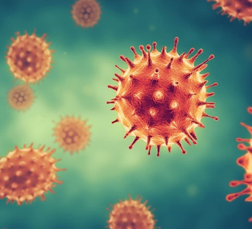 In Ukraine, 11,627 new cases of COVID-19 infection were recorded per day