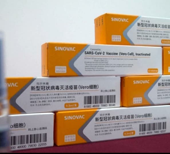 “სინოვაკის“ ვაქცინის 100 000 დოზა საქართველოში დღეს ჩამოვა