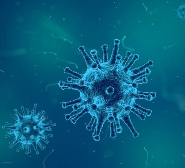 24 საათში საქართველოში კორონავირუსით 20 ადამიანი გარდაიცვალა