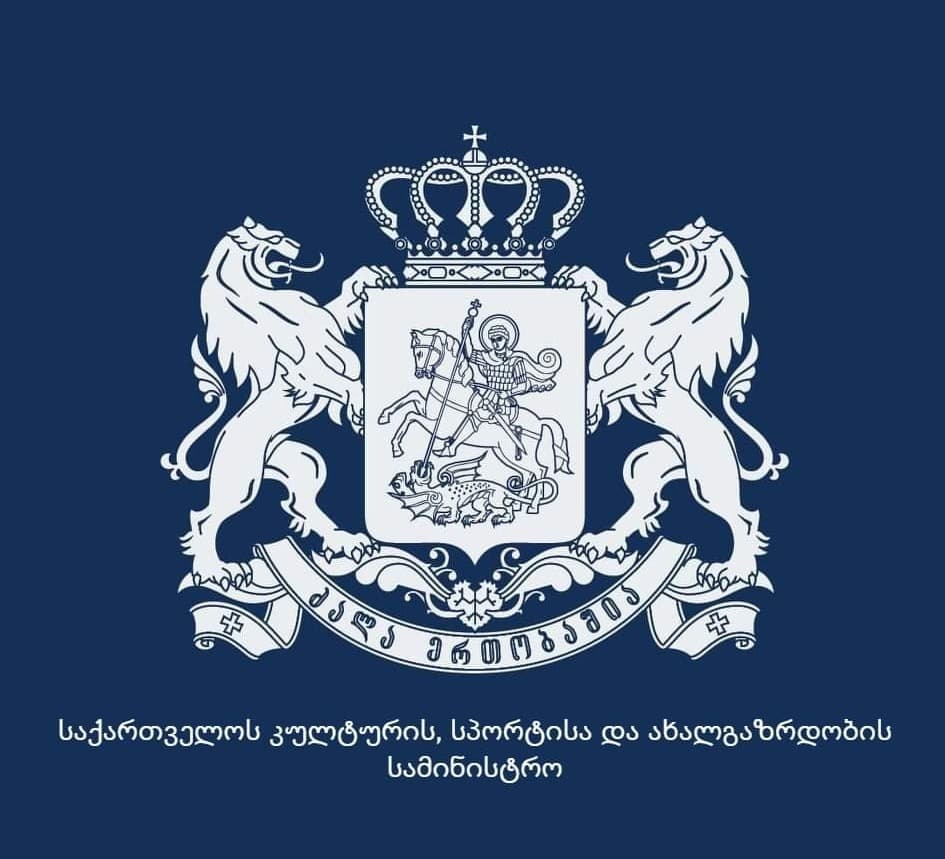 “სამწუხაროა, რომ ეს გახლავთ სიცრუე, სინამდვილეში, ამ მიზნით დახარჯულია 538 ლარი”