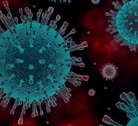 24 საათში საქართველოში კორონავირუსით 29 ადამიანი გარდაიცვალა