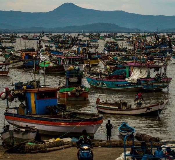 Covid-battered India braces for storm