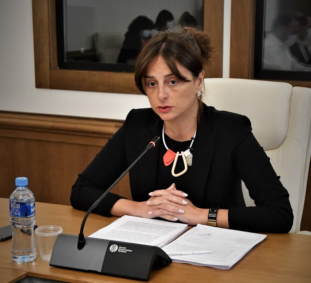 “სისტემა, რომელმაც წლების განმავლობაში დაჩეხა გარემოს დაცვითი კანონმდებლობა, ნამდვილად გადაიჩეხებოდა, რომ არა „ქართული ოცნება”