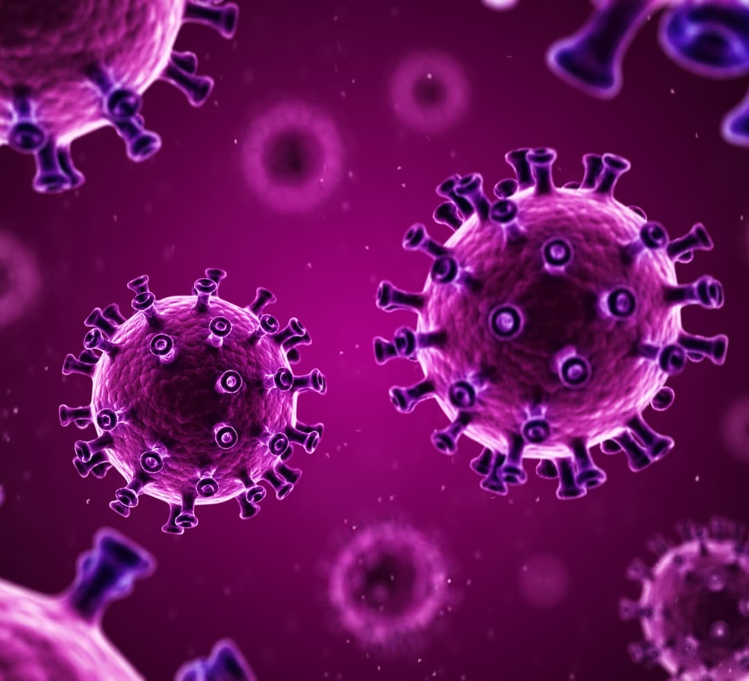 24 საათში საქართველოში კორონავირუსით 17 ადამიანი გარდაიცვალა