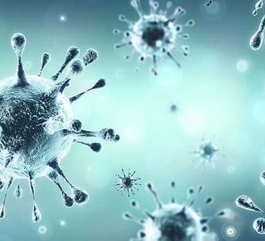 კორონავირუსის 1 056 ახალი შემთხვევიდან 569 თბილისში გამოვლინდა, 102 – აჭარაში, 103 – იმერეთში