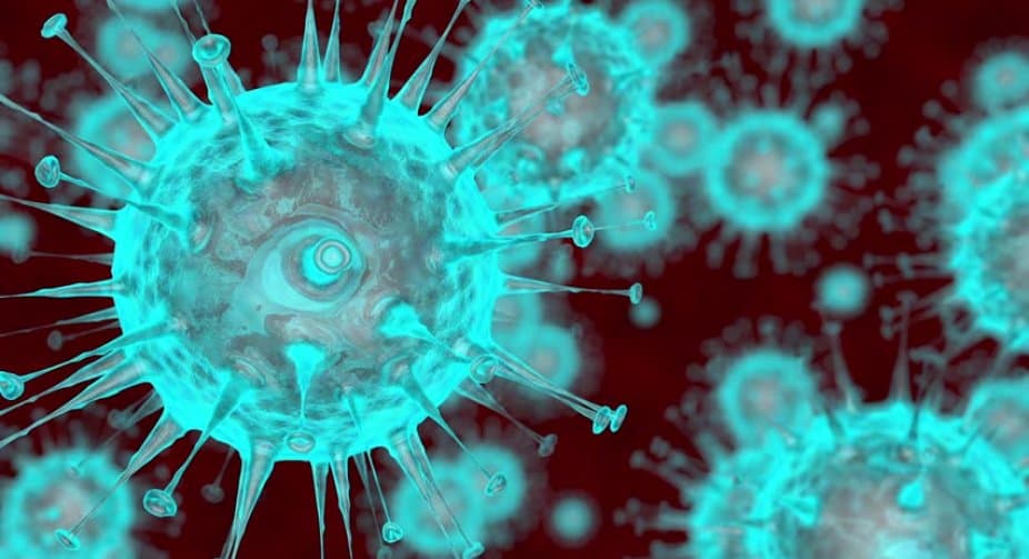 49 people died of coronavirus in Georgia in 24 hours