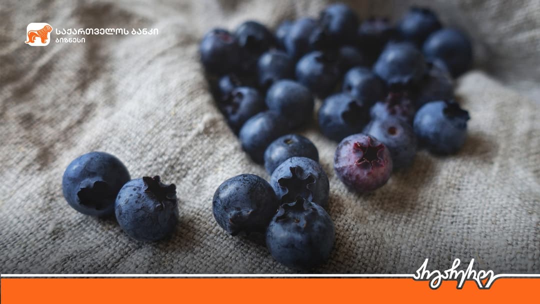 “საქართველოს ბანკის” მხარდაჭერით “Berry Farms”-მა 30 ჰექტარზე მოცვის ბაღები გააშენა