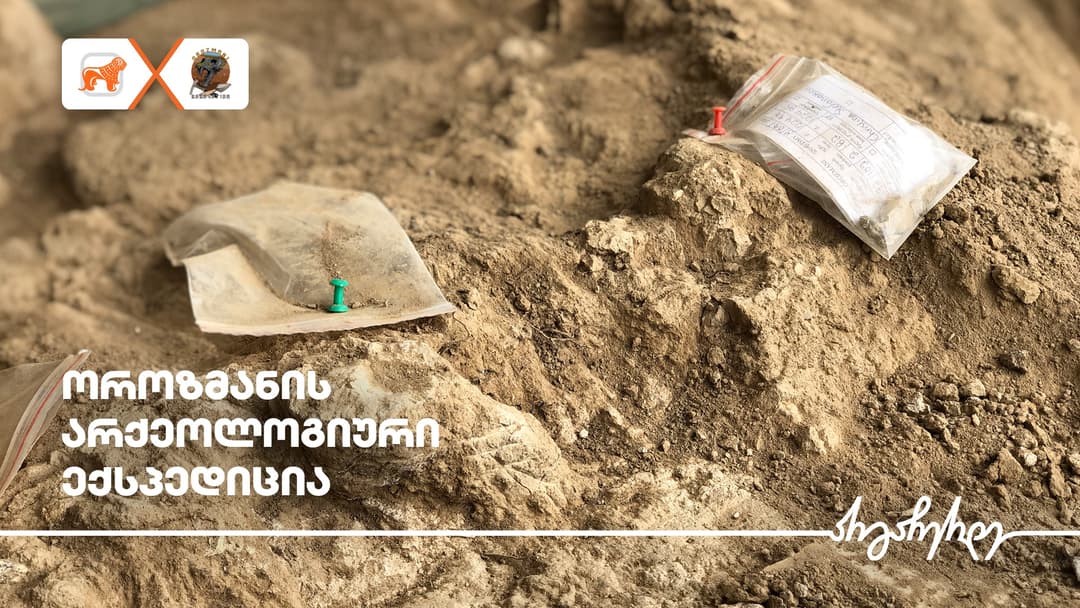 ოროზმანის ექსპედიციამ, რომლის გენერალური პარტნიორიც “საქართველოს ბანკია”, მსოფლიო მნიშვნელობის აღმოჩენა გააკეთა