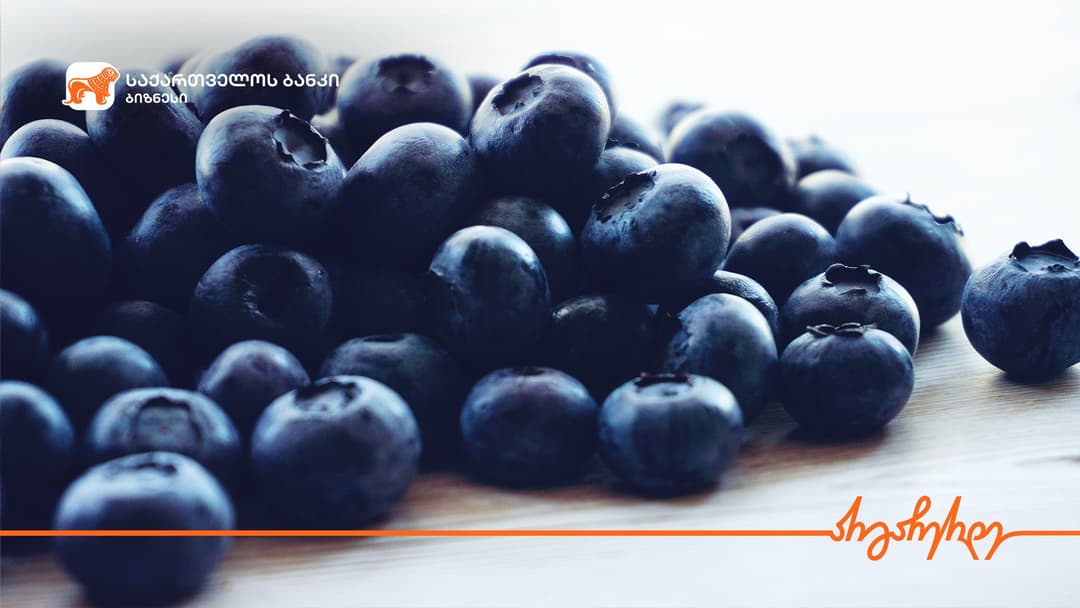 “საქართველოს ბანკის” მხარდაჭერით გურიაში ლურჯი მოცვის პლანტაციის გაშენების მიზნით ინვესტიცია განხორციელდა