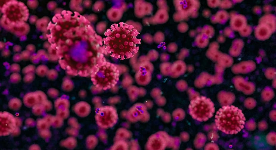 Coronavirus in Georgia: daily cases at 407, deaths decrease to three