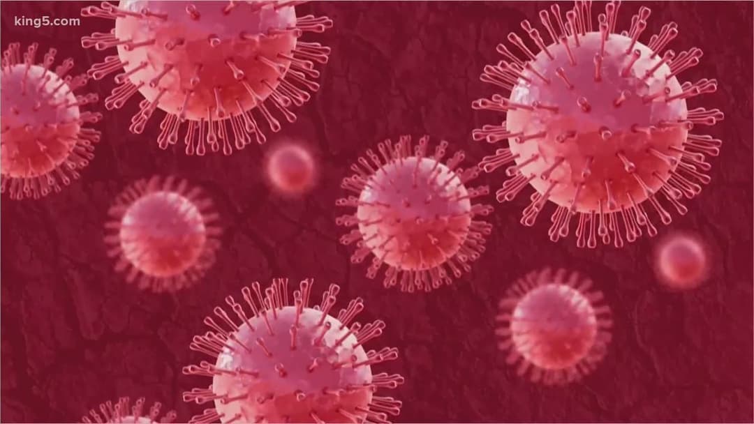 15 762 ახალი ინფიცირებულიდან თბილისში გამოვლენილია 8 357, იმერეთში – 1 907, აჭარაში – 1 608