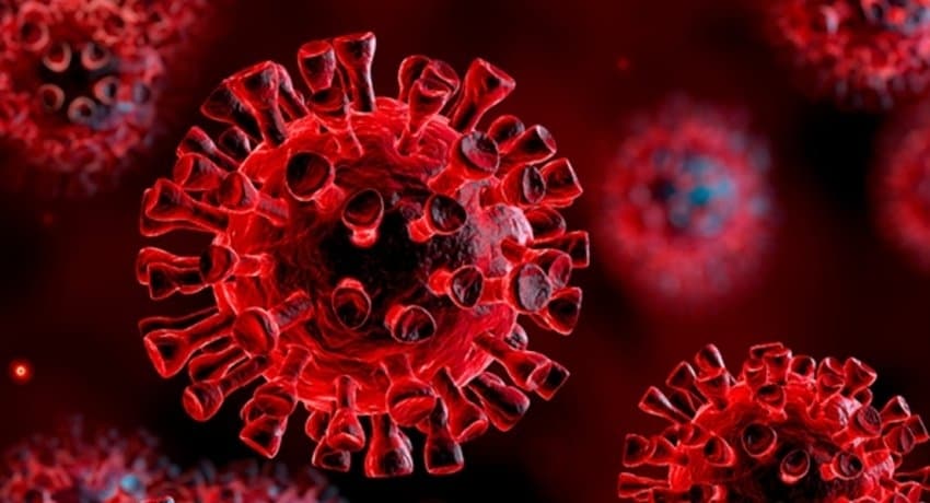 ივანე ჩხაიძე – ნებისმიერი ახალშობილი, რომელიც კორონავირუსით ინფიცირდება, მაღალი რისკის ქვეშაა