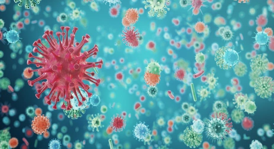 საქართველოში კორონავირუსის 590 ახალი შემთხვევა გამოვლინდა, გარდაიცვალა 10 ადამიანი