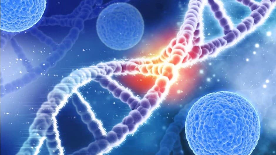 საქართველოში კორონავირუსს ამ დრომდე 12 631 ადამიანის სიცოცხლე ემსხვერპლა