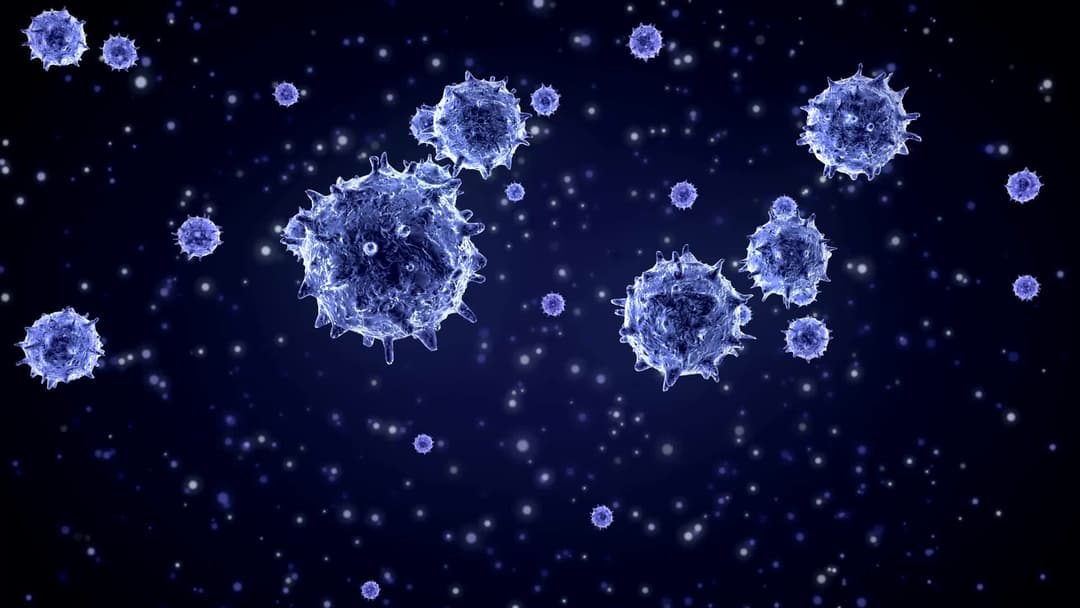 საქართველოში კორონავირუსის 4 212 ახალი შემთხვევა გამოვლინდა