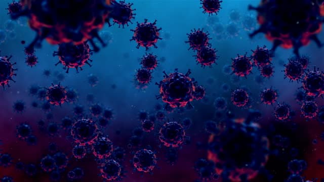 საქართველოში კორონავირუსის 2 617 ახალი შემთხვევა გამოვლინდა, 9 ადამიანი გარდაიცვალა