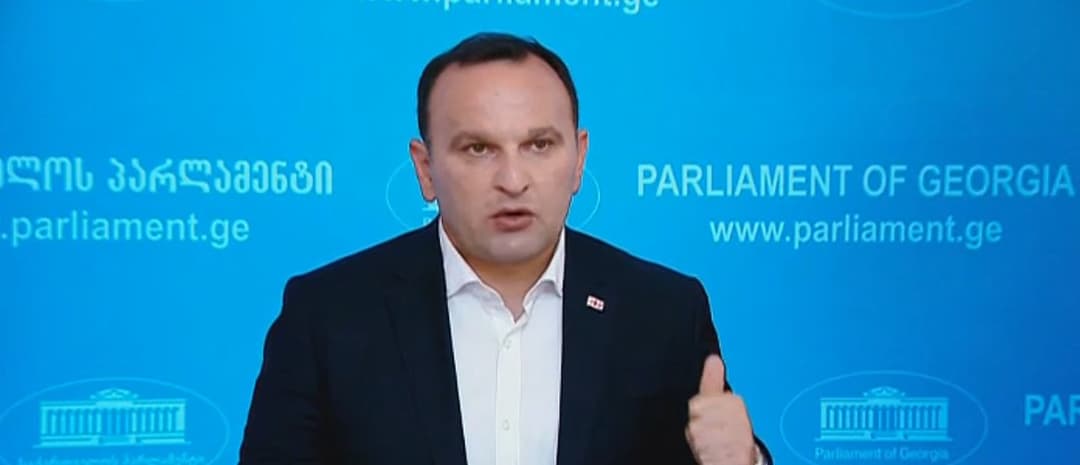 Georgia will get candidate status thanks to people, Europeans – opposition MP