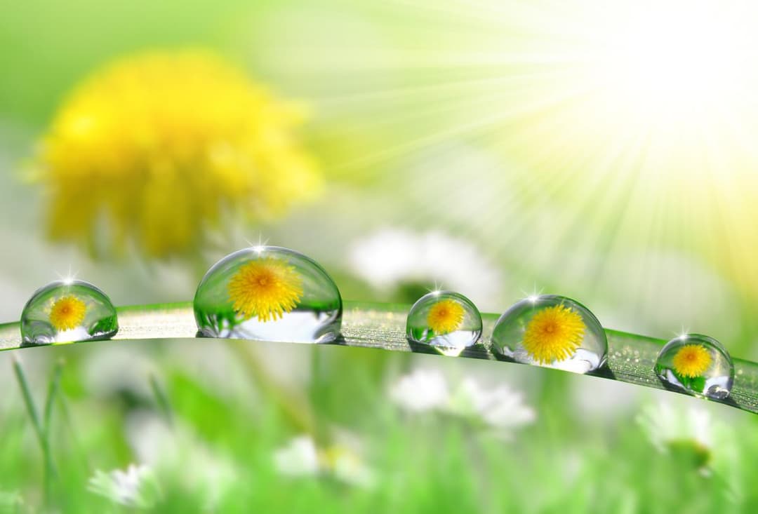 25 ივლისამდე მოსალოდნელი ამინდი საქართველოში