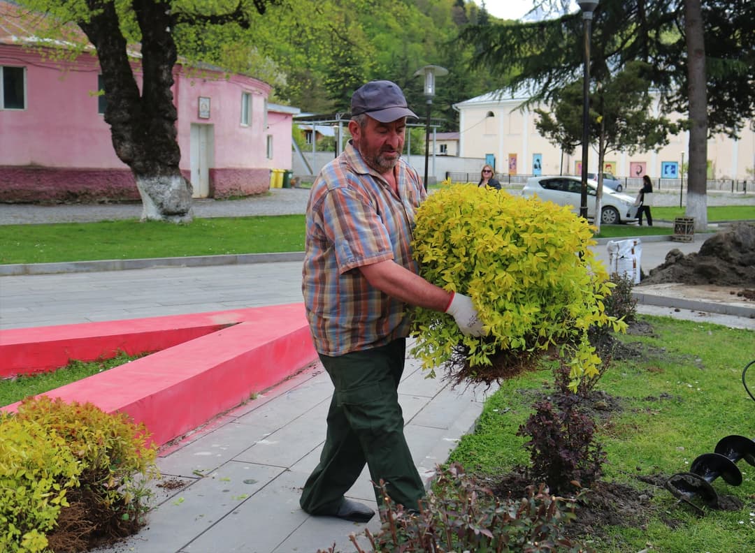 ონში გამწვანების სამუშაოები აქტიურ რეჟიმში მიმდინარეობს