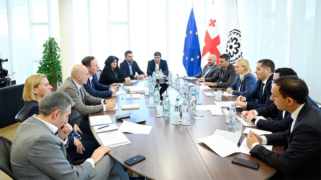 ნათია თურნავა კომერციული ბანკებისა და ბიზნესასოციაციის წარმომადგენლებს შეხვდა