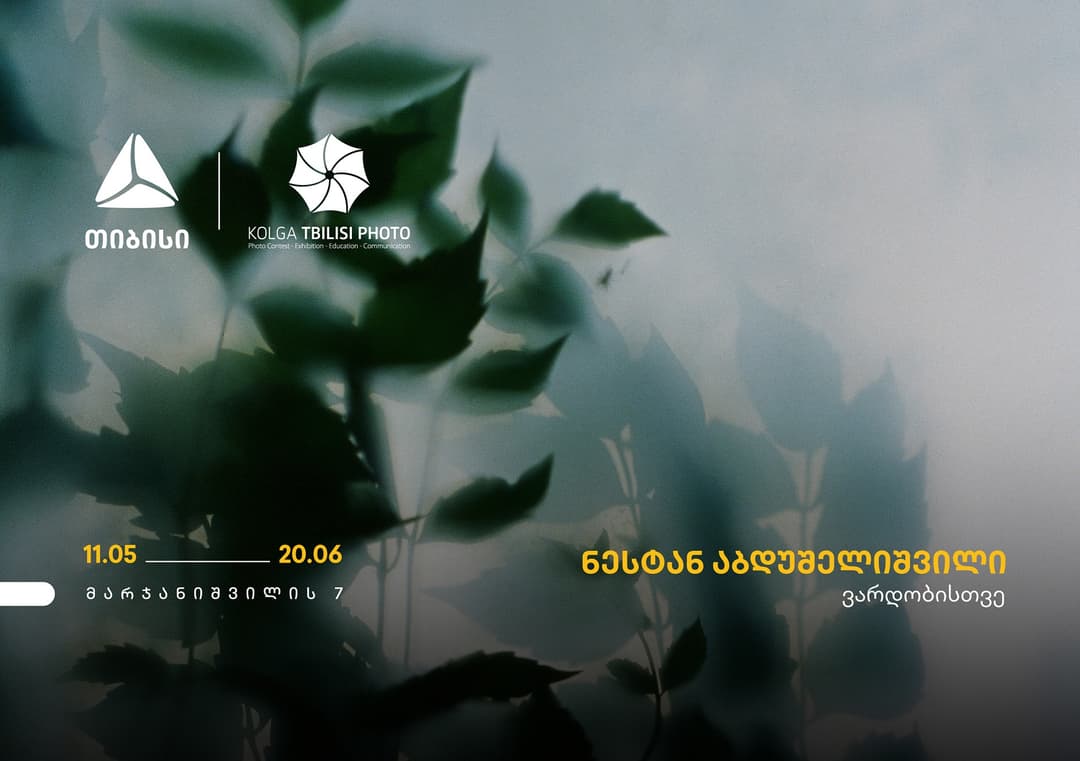 ნესტან აბდუშელიშვილის გამოფენა თიბისი კონცეპტში