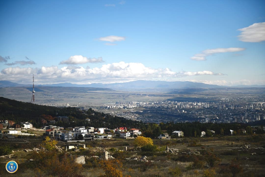 დიდი ოდენობით სხვისი ქონების მოტყუებით დაუფლების მცდელობის ფაქტზე ერთი პირი დააკავეს