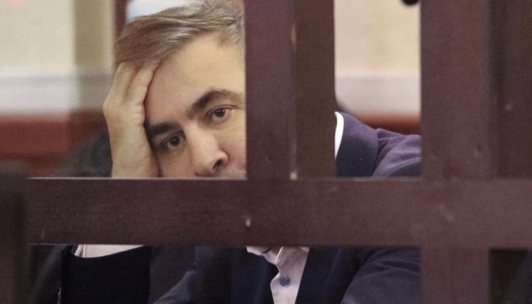 MPs to visit ex-pres. Saakashvili only after obtaining special permits